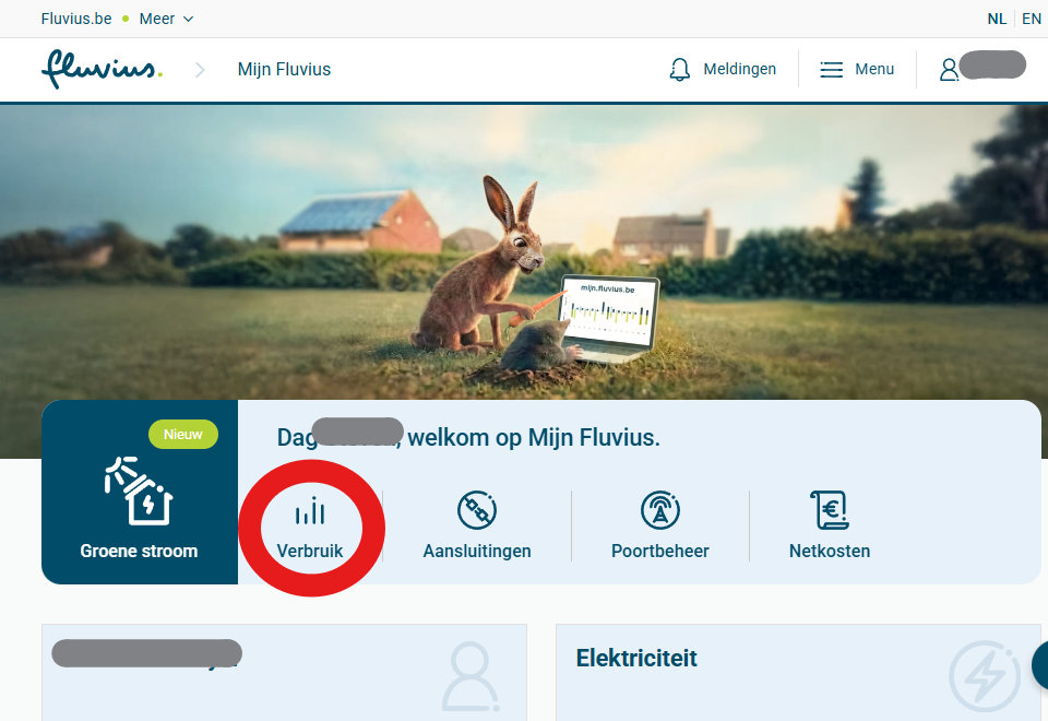 Mijn Fluvius menu met de optie Verbruik aangeduid